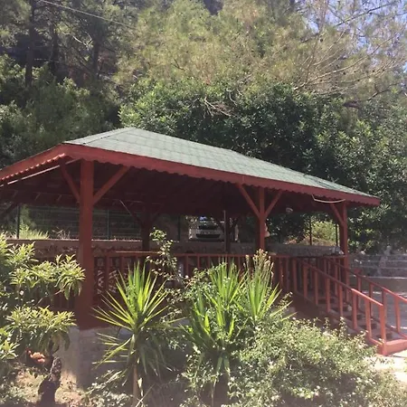 Tas Ev Homestay szállás